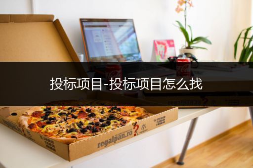 投标项目-投标项目怎么找
